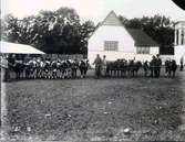 Lantbruksmötet 1910. Nötboskap - grupp. Nils von Hofsten, Kilagården.