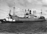 Juhanna bogseras ut ur Trelleborgs hamn 14/7 1966.