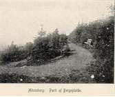 Parti av bergsplatån.