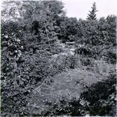 Kv. S:t Botvid, Botvids kulle belägen mellan Botvidsgatan 37 och Eriksgatan 19. Bronsåldershög.