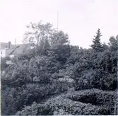 Kv. S:t Botvid, Botvids kulle belägen mellan Botvidsgatan 37 och Eriksgatan 19. Bronsåldershög.