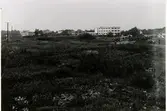 Kv. Ägir. Eriksgatan 4, Wahls AB tomt. Utsikt från Kvarnbackarna över Stenbrottet till tomten för AB Bröderna Wahls likkistfabrik i september 1939.