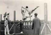 Gymnastikfesten pingst, 1937. Hela Vg:s gymnaster.