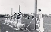 Gymnastikfesten pingst, 1937. Hela Vg:s gymnaster.