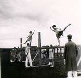 Gymnastikfesten pingst, 1937. Hela Vg:s gymnaster.