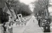 Gymnastikfesten pingst, 1937. Hela Vg:s gymnaster.