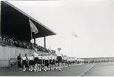 Gymnastikfesten pingst, 1937. Hela Vg:s gymnaster.