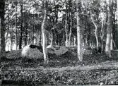 Vartofta gård. Fyrkantig stensättning i gårdens park vid smedjan.