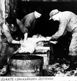 Slakt i Backgården.