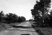 Danska vägen före breddning 23 oktober 1954.