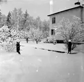 Kättilstorp 8 Januari 1968 före VA-arbeten. Bromanders grindstolpar.