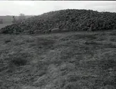 Rösen vid Ekornavallen.