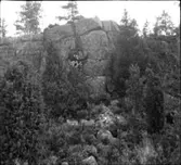 Mössebergs fornborg. Ugglums bys utmark (byallmänning)