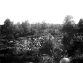 Mössebergs fornborg. Ugglums bys utmark (byallmänning)