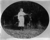 Flicka och ko, utomhus, repro 1915
	Metallutfällning.