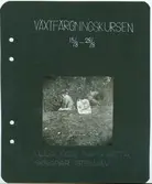 Fotoalbum, Johanna Brunssons vävskola.