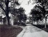 Södra infarten: Allén från Södra vägen. Troligen vid Falkenbergshemmet.
