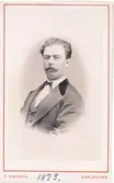 Porträtt av okänd man 1873.