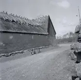 Ladugård med takryttare och vasstak i Borgs by vid Gråborg.