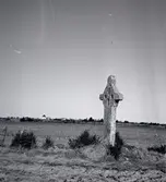 Ryningskorset, Persnäs, 1 km från kyrkan.
Öland har fem väl bevarade stenkors. Ett av dem ligger i Hallnäs i Persnäs socken.