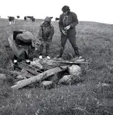 Antikvarie Ulf Erik Hagberg och Gunnel Forsberg gör en arkeologisk underökning på Kåreholm, juli 1962.  Kåreholm är ön utanför Kårehamn.