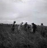 Ragnhild Boström utför en arkeologisk undersökning.