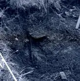 En arkeologisk fyndplats i Skedemosse 15/6 1962.