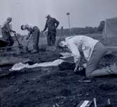Arkeologisk utgrävning vid Skedemosse 15/6 1962.