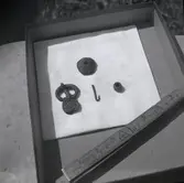 Fynd från Skedemosse. Metkrok och spänne.