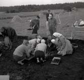 Arkeologis utgrävning vid Klinta 1957.