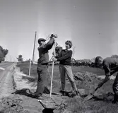 Arkeologen Margareta Beskow stängslar grävplatsen i Bredsättra socken.