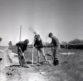 Margareta Beskow i Bredsättra socken.