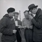 Från utgrävningen av Skedemosse.