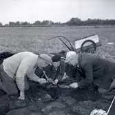 Utgrävning vid Skedemosse med Ulf Erik Hagberg.