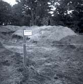 En arkeologisk utgrävning i Köpingsvik med K-G Petersson den 15/9 1961.
