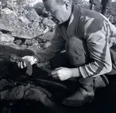 En arkeologisk utgrävning vid Nybyåsen, av K-G Petersson 31/5 1958.