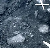 Fynd vid en arkeologisk utgrävning vid Törnbotten 14/10 1960.