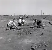Utgrävningar vid Sörby - Störlinge med Ulf Erik Hagberg.