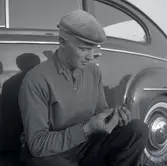 Utgrävningar vid Ormöga 23/9 1963.
Man hittade mycket djurbensmaterial här och kunnat konstatera att nötboskap har varit Ormögas viktigaste köttproducent. Jakt och fiske utgorde ett betydelsefullt inslag i befolkningens dagliga livsföring. Grönlandssäl har för första gången påträffats i förhistoriskt benmaterial från Öland.