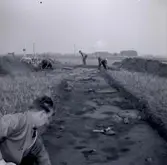 Utgrävningar vid Ormöga 23/9 1963, K-G Petersson.

Man hittade mycket djurbensmaterial här och kunnat konstatera att nötboskap har varit Ormögas viktigaste köttproducent. Jakt och fiske utgorde ett betydelsefullt inslag i befolkningens dagliga livsföring. Grönlandssäl har för första gången påträffats i förhistoriskt benmaterial från Öland.