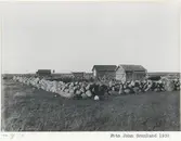 Sjöbodar med garnhage i Sjöplan.