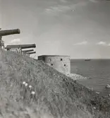 Västra vallen på Kalmar slott.