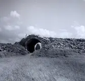 Gråborg 1961. I valvet syns ruinen av S:t Knuts kapell.

Ölands största fornborg, anlagd under järnåldern men i bruk ända in i historisk tid. Intill borgen finns en medeltida kapellruin och byn Borg med ett välhävdat odlingslandskap.
Gråborg är Ölands största fornborg och även en av Sveriges största anläggningar i sitt slag. Liksom Ismanstorp är den belägen centralt på ön. Borgen har tidigare benämnts Backaborg men denna benämning har efter hand flyttats över till den närliggande byn Borg. 
Borgmuren omsluter en yta på 210 x 160 meter och ringmurens höjd varierar 4-7 meter. Murens ursprungliga höjd har uppgått till cirka 8-10 meter med en tjocklek på cirka 10 meter. I nordväst finns en port med ett medeltida valv som förstärkt med kalkbruk. Borgen har tidigare haft ytterligare två portar, en i norr och en i söder. Enligt äldre källor har den befintliga porten tidigare krönts av ett mindre torn, även den södra porten har haft ett torn.

Källa Länsstyrelsen.