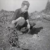 Sedermera landsantikvarie K-G Petersson som ung amanuens vid Sörby.