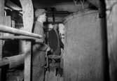 Arbetare i sockerfabrik Lennart Hansson ”Falkner”? 1942.