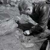 En arkeologisk undersökning av Törnbottens gravfält 24/8 1961.