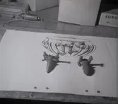 Fynd från utgrävning på Öland.