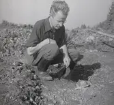 K-G Petersson vid en arkeologisk utgrävning i Sörby, oktober.