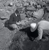 Utgrävning vid Skedemosse.