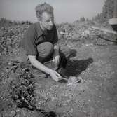 En arkeologisk utgrävning vid Klinta 1957.